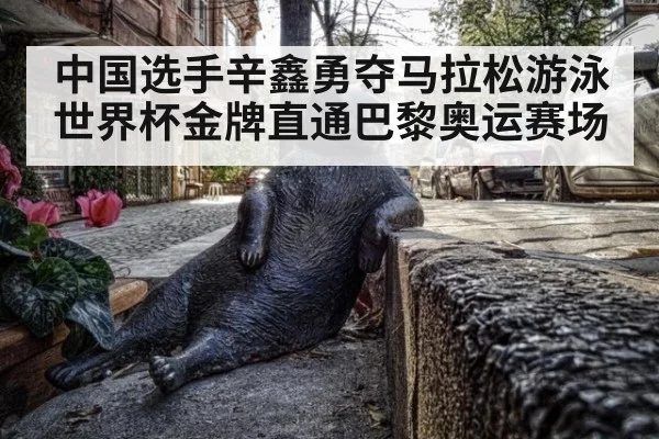中国选手辛鑫勇夺马拉松游泳世界杯金牌直通巴黎奥运赛场